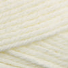 Plymouth Yarns Encore Chunky -843273004791 | Yarn at Michigan Fine Yarns