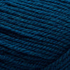 Plymouth Yarns Encore Chunky -843273049655 | Yarn at Michigan Fine Yarns