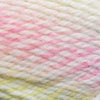 Plymouth Yarns Encore Worsted Colorspun -843273025673 | Yarn at Michigan Fine Yarns