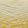 Plymouth Yarns Encore Worsted Colorspun -843273025703 | Yarn at Michigan Fine Yarns
