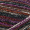 Plymouth Yarns Encore Worsted Colorspun -843273049631 | Yarn at Michigan Fine Yarns