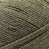 Plymouth Yarns Shades of Sockotta -11 - Pistachio 843273055656 | Yarn at Michigan Fine Yarns