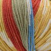 Schoppel Wolle Lifestyle -Scattershot 2505 4250331338891 | Yarn at Michigan Fine Yarns