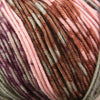Schoppel Wolle Lifestyle -Wild Rose 1862 4250331323408 | Yarn at Michigan Fine Yarns