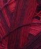 Schoppel Wolle Zauberball Sock -1963 4250331309747 | Yarn at Michigan Fine Yarns