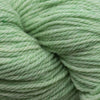 Stonehedge Fiber Mills Shepherd's Wool Worsted -Mint #021 47621930 | Yarn at Michigan Fine Yarns