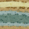 Universal Yarns Cotton Supreme Batik -875528005406 | Yarn at Michigan Fine Yarns