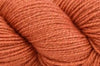 Universal Yarns Wool Pop -614 - Winter Squash 847652083292 | Yarn at Michigan Fine Yarns